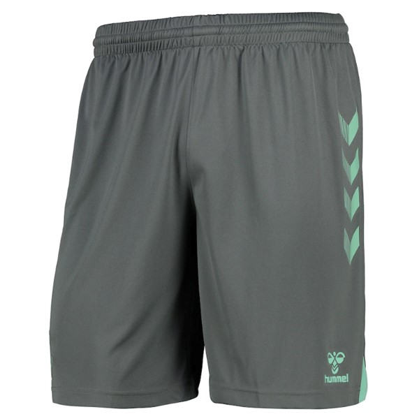 Pantalon Everton Third 2020-21 Vert